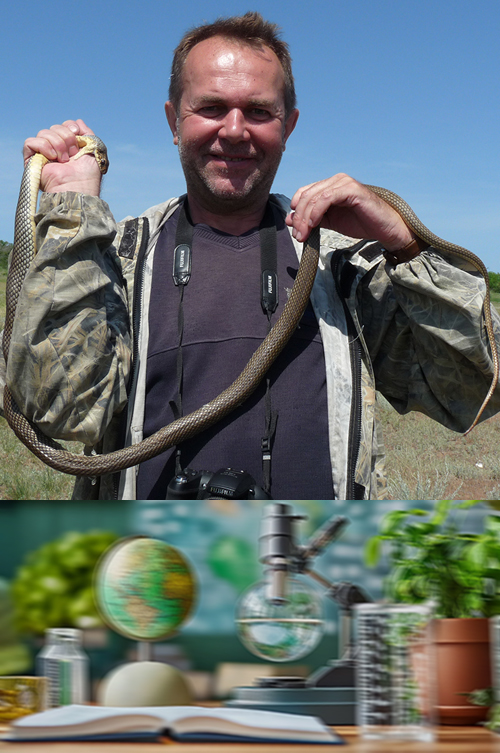<strong>Бакиев Андрей Геннадьевич</strong>